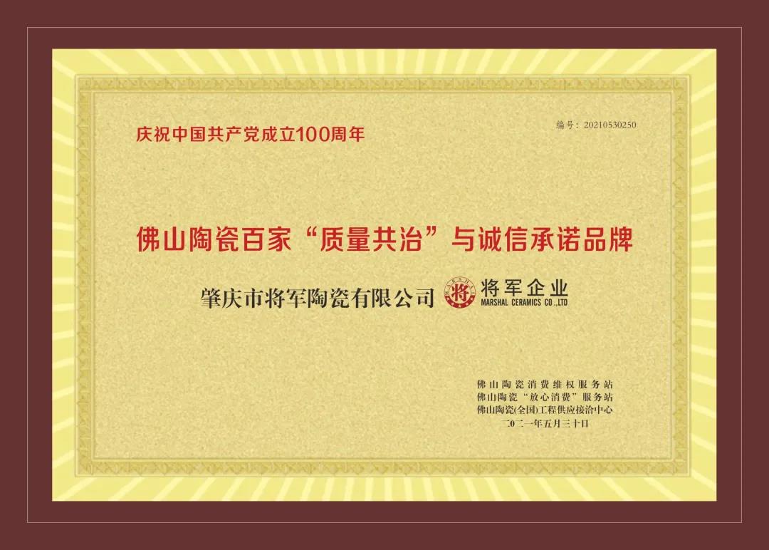 重磅 | 將軍企業(yè)實(shí)力捧回4大重量級(jí)獎(jiǎng)項(xiàng)，獻(xiàn)禮建黨百年(圖4)